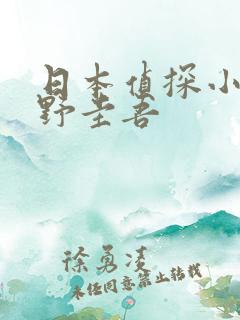 日本侦探小说东野圭吾