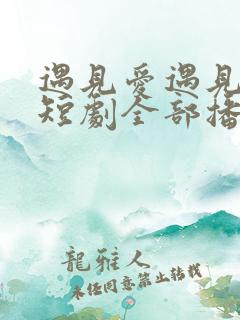 遇见爱遇见幸福短剧全部播放