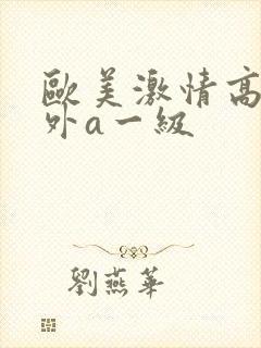 欧美激情高潮老外a一级