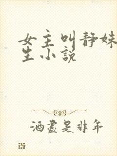 女主叫静姝的重生小说
