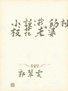 小说:我的极品校花老婆