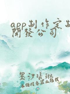app制作定制开发公司