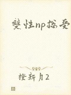 双性np总受文