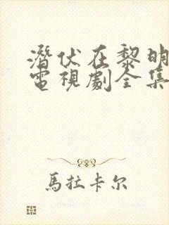 潜伏在黎明之前电视剧全集40集剧情