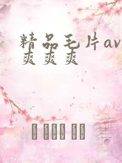 精品毛片av爽爽爽爽