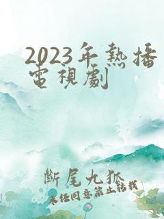 2023年热播电视剧