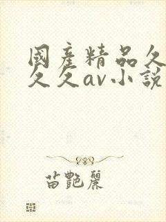 国产精品久久久久久av小说