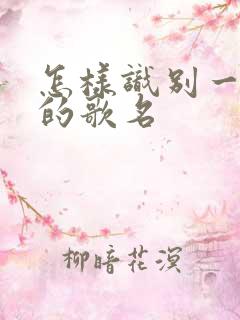 怎样识别一首歌的歌名