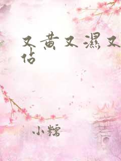 又黄又湿又爽网站