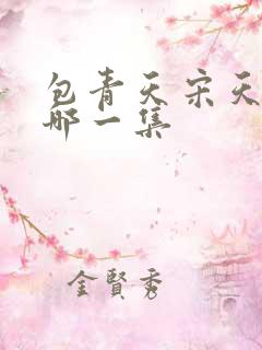 包青天宋天宝是哪一集