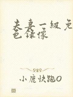 夫妻一级免费黄色录像