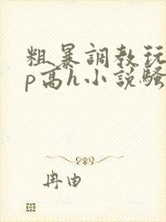 粗暴调教玩弄np高h小说骚受