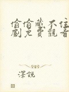 偷偷藏不住电视剧免费观看在线播放