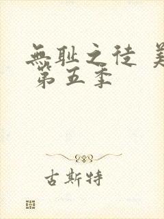 无耻之徒 美版 第五季