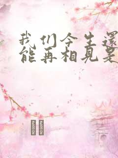 我们今生还能不能再相见是什么歌