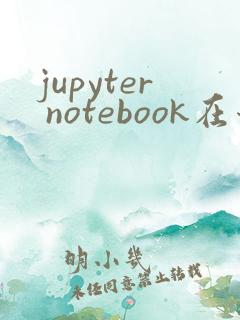 jupyter notebook在哪里运行