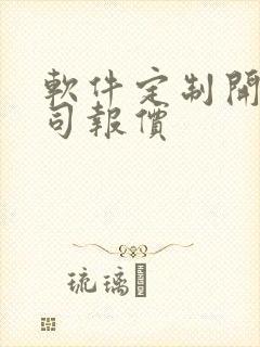 软件定制开发公司报价