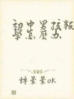 初中男孩叛逆厌学怎么办