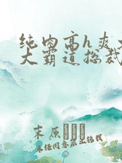 纯肉高h爽文粗大霸道总裁