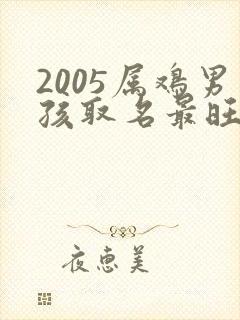 2005属鸡男孩取名最旺的字