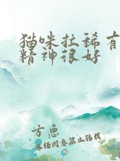 猫咪拉稀有血但精神很好