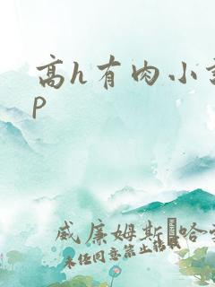 高h有肉小说np