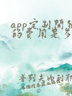 app定制开发的费用是多少