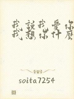 我说我爱你我说我想你什么歌