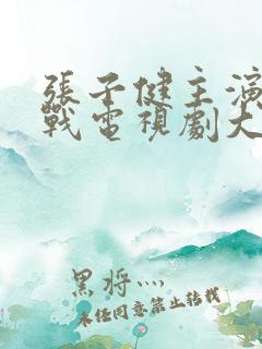 张子健主演的谍战电视剧大全