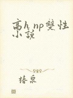 高h np双性小说