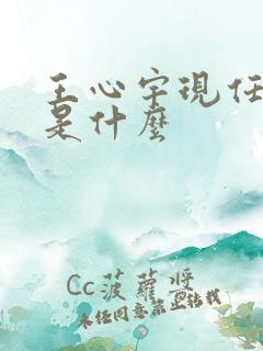 王心宇现任职务是什么