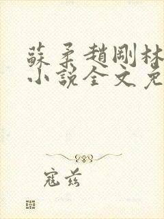 苏柔赵刚林风的小说全文免费阅读