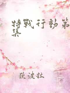 特战行动第11集