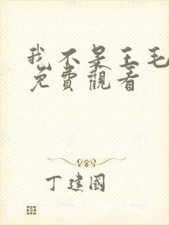 我不是王毛在线免费观看