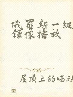 俄罗斯一级黄色录像播放