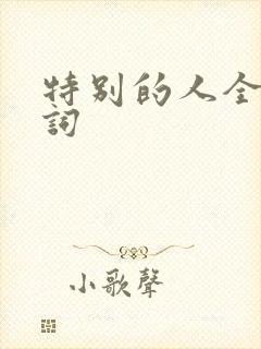 特别的人全部歌词