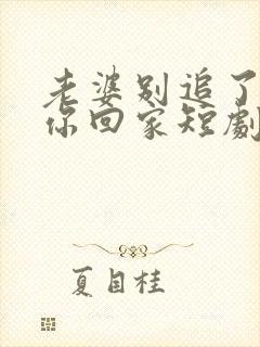 老婆别追了我跟你回家短剧演员介绍