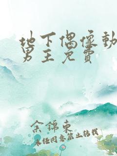 地下偶像动漫双男主免费