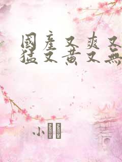 国产又爽又粗又猛又黄又无遮挡