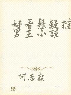 好看悬疑推理双男主小说