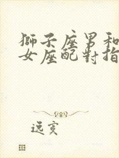 狮子座男和双子女座配对指数