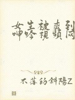 女生被爽到高潮呻吟视频网站