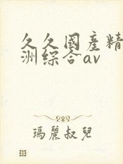 久久国产精品亚洲综合av