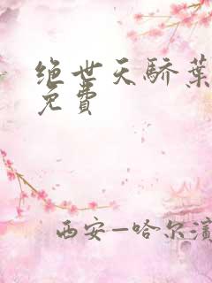 绝世天骄叶凌天免费