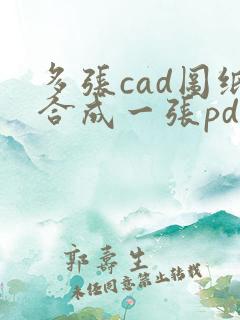 多张cad图纸合成一张pdf