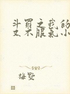 斗罗之我的系统又不服气小说