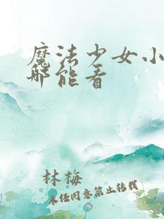 魔法少女小圆在哪能看