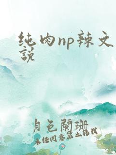 纯肉np辣文小说