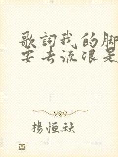 歌词我的脚步想要去流浪是哪首歌