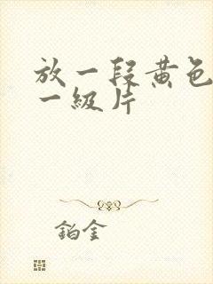 放一段黄色录像一级片